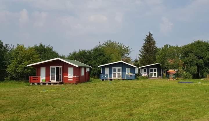 Kiszkowianka Domki Skrzeszewo  Bagian luar foto