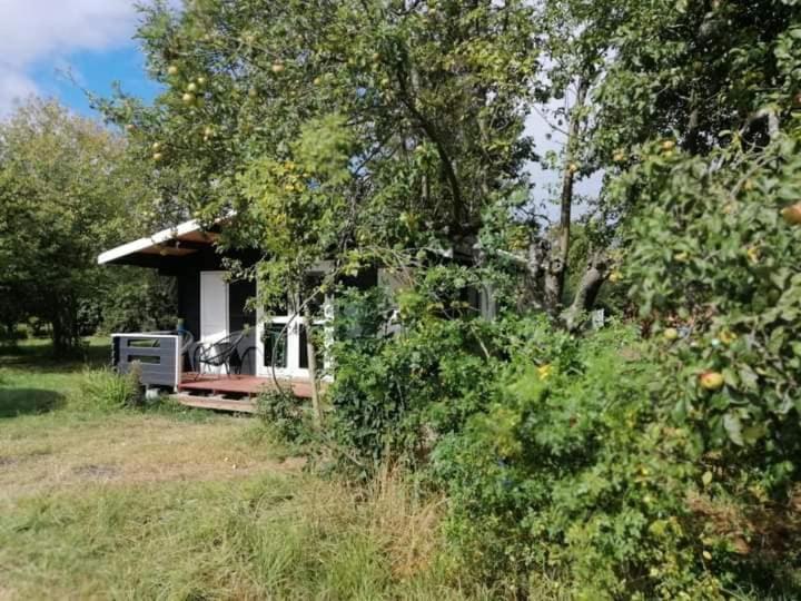 Kiszkowianka Domki Skrzeszewo  Bagian luar foto